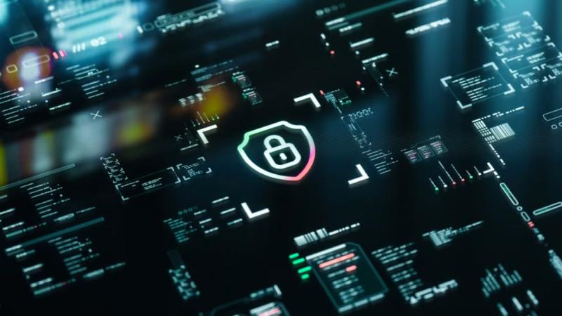 双桥区软件开发公司